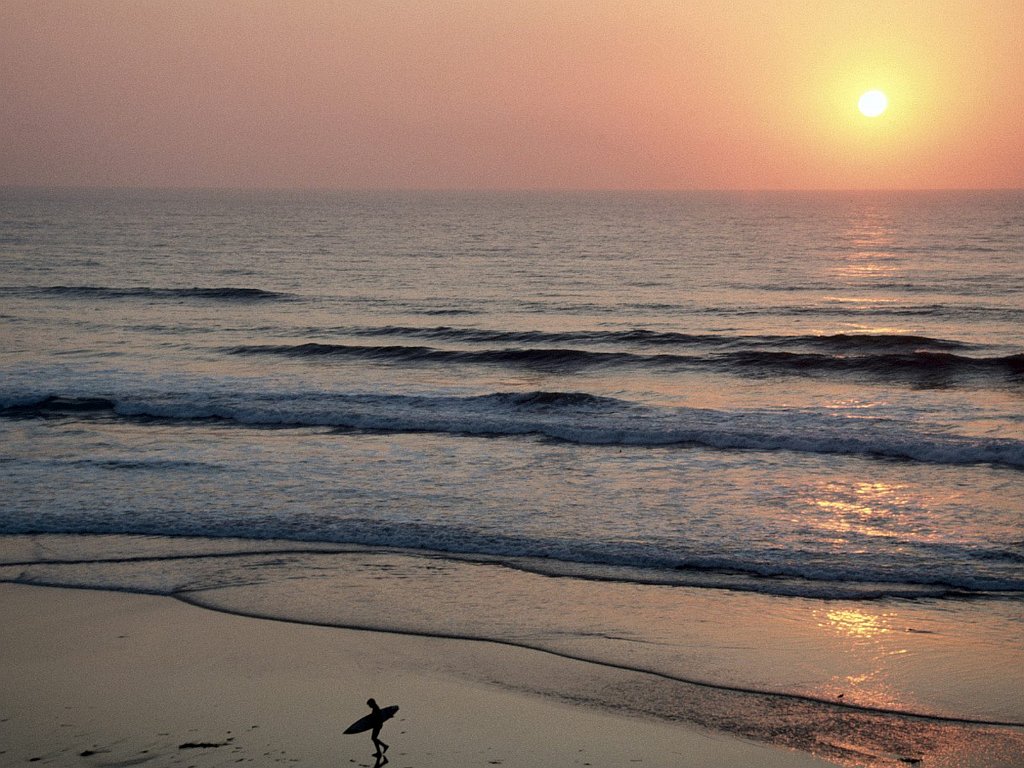 Wiped, Del Mar, California